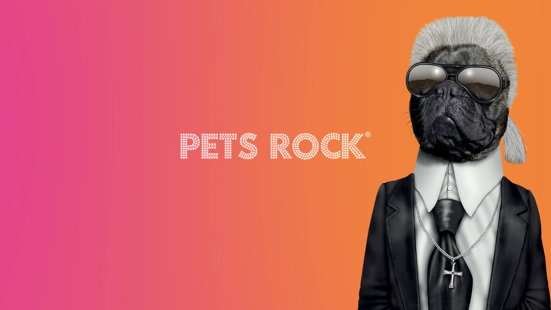 7. Pets Rock